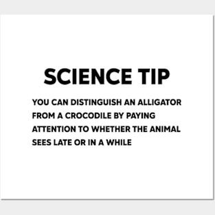 Crocodile Alligator Funny Science tip Posters and Art